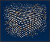 Gerhard Marx, Hedge, 125 x 150 cm (1) frame